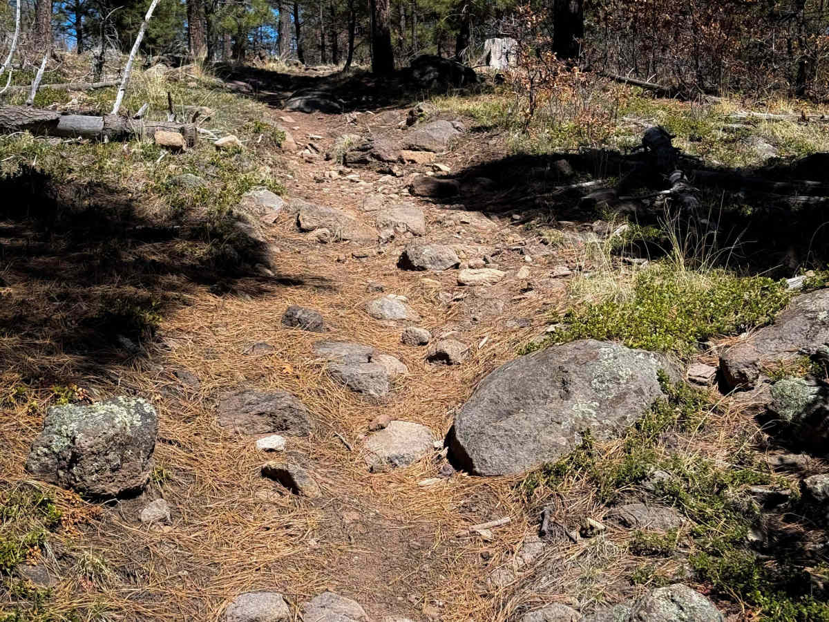 Twin Cabins - 506  photo 2