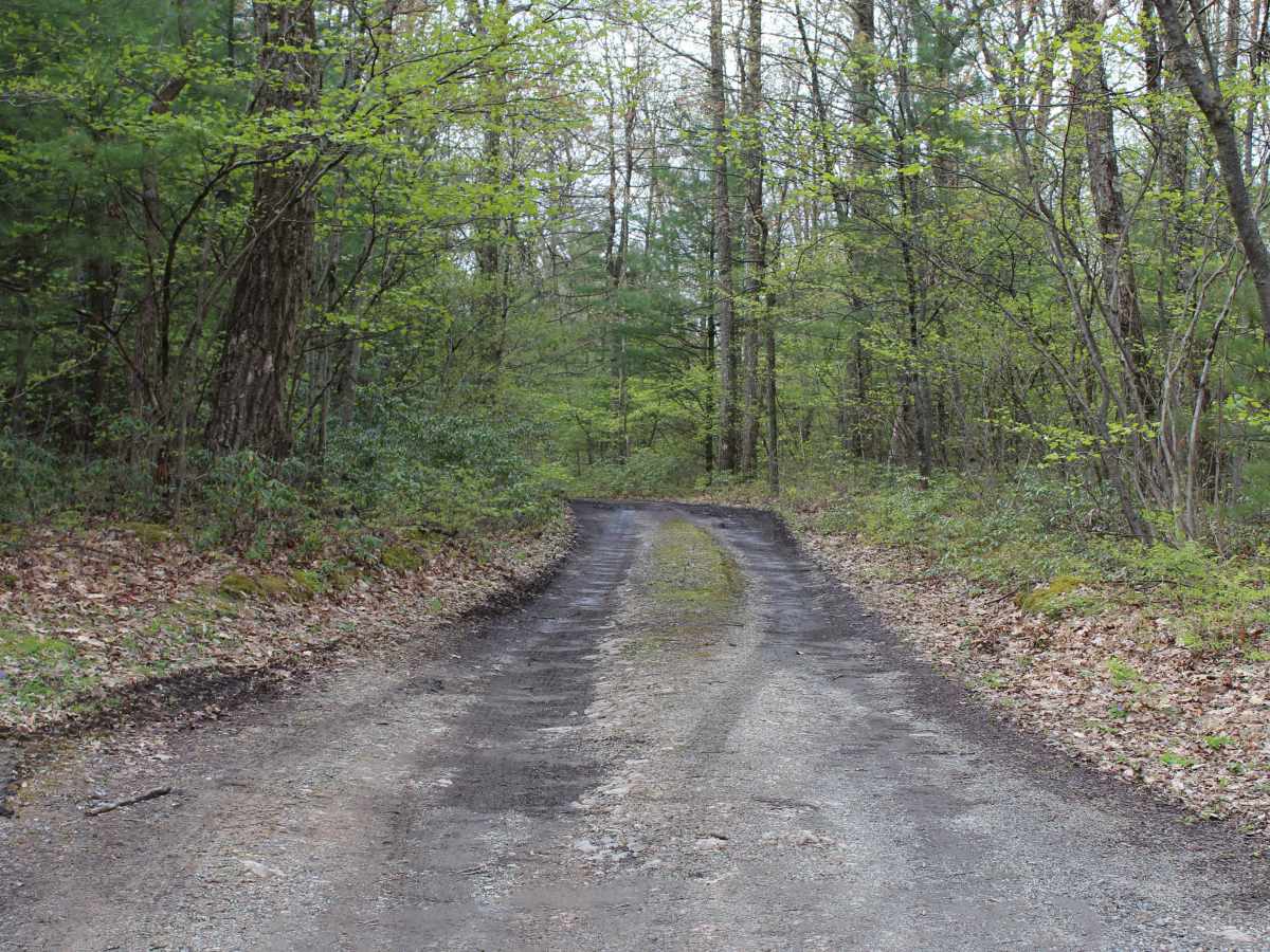 Kratzer Road photo 2