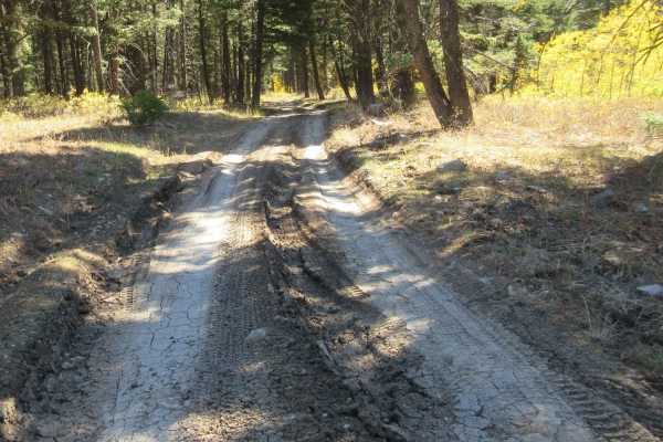 East Fork Dry Creek