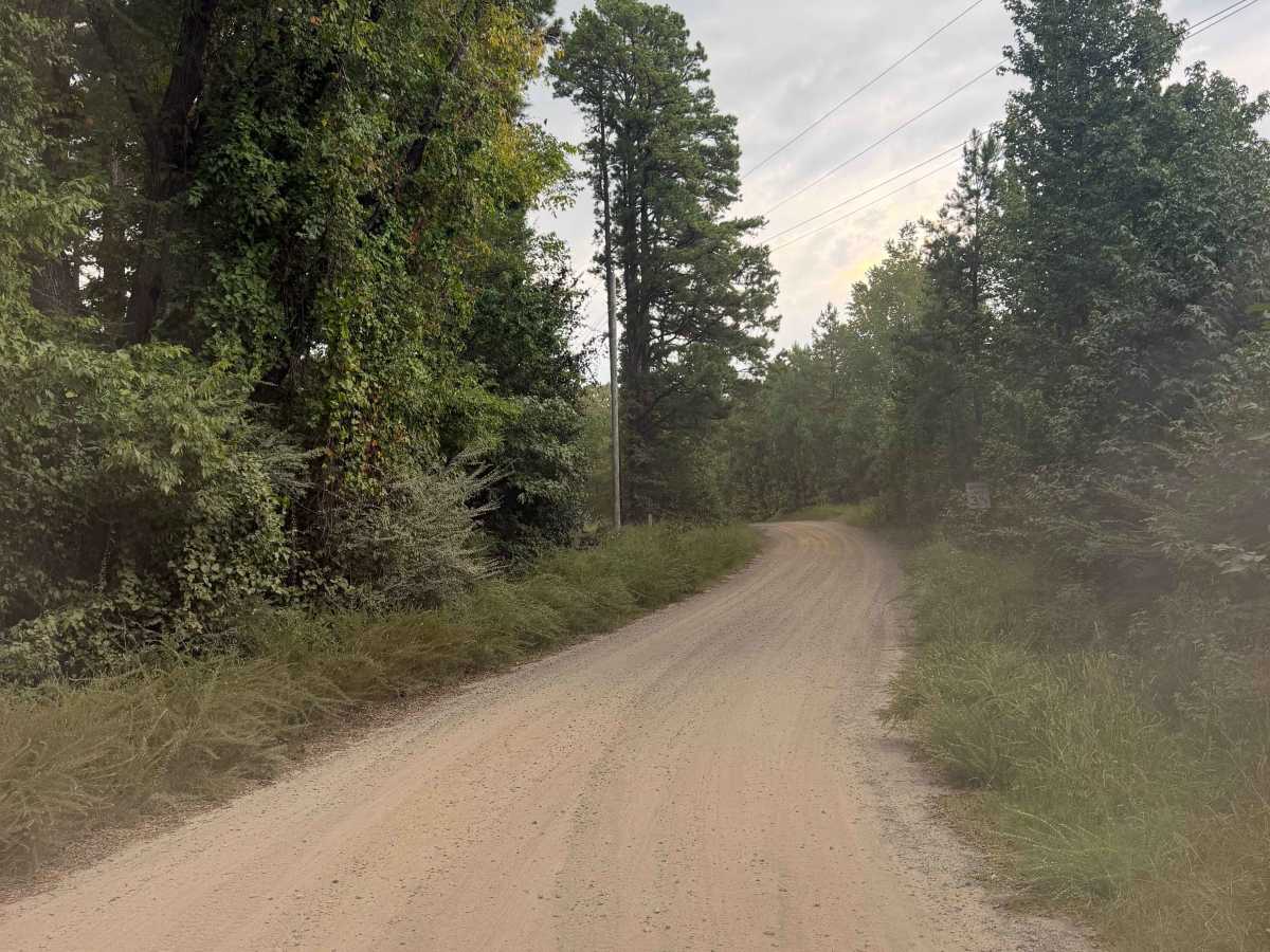 Trail 86 photo 5
