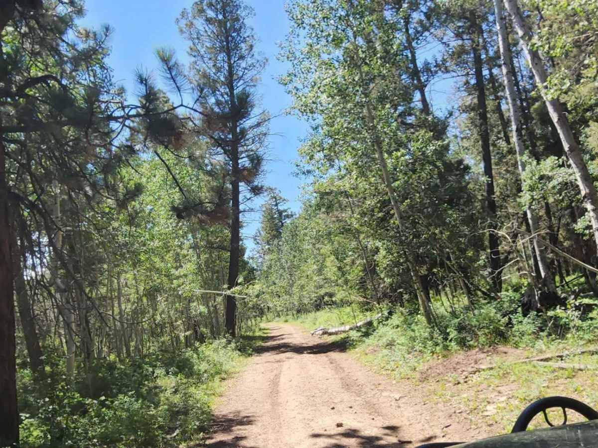 Spring Cr Pt Road photo 6