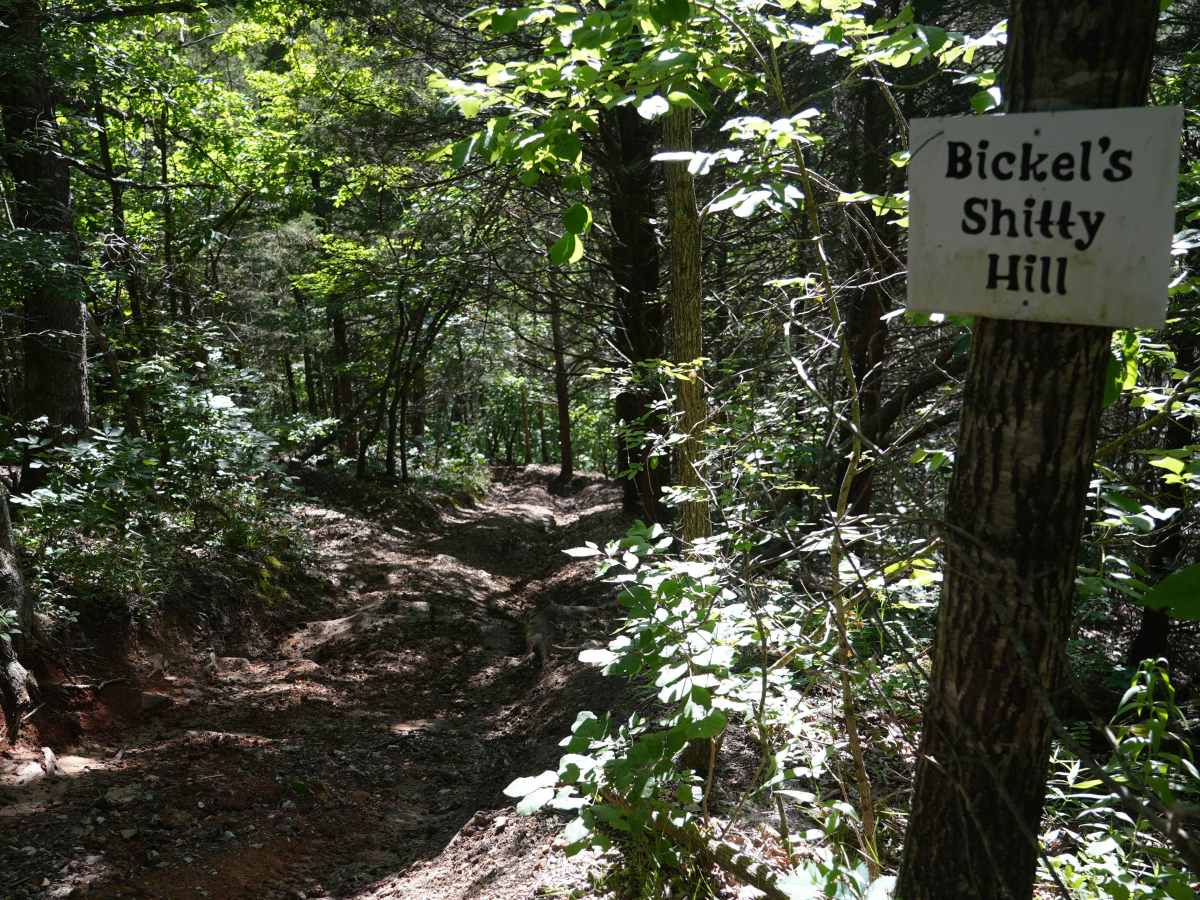 Bickel's Shitty Hill trail photo
