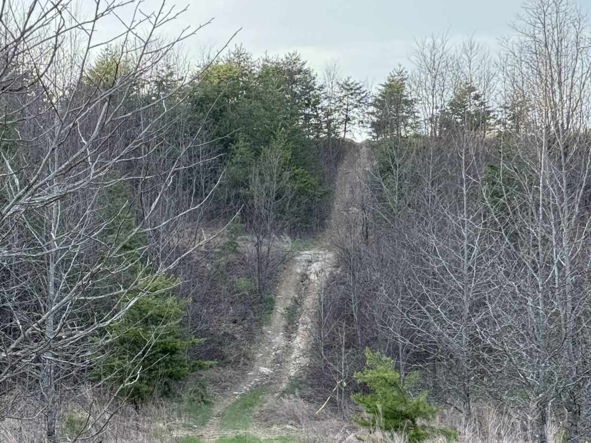 Q30 trail photo