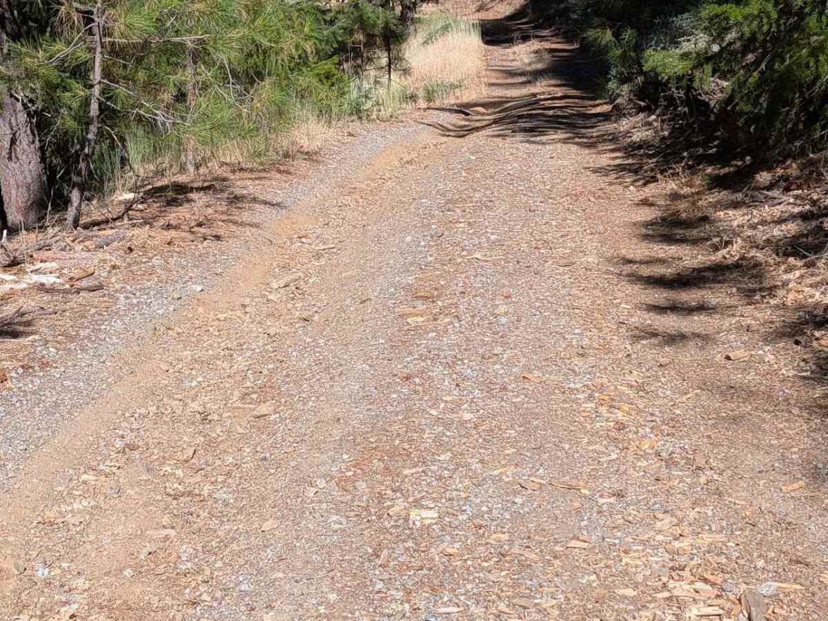 Wilson Point Road - FS 30N21  photo 4