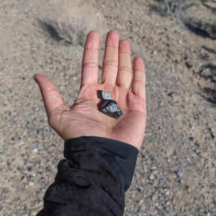 Near Cactus Springs Loop