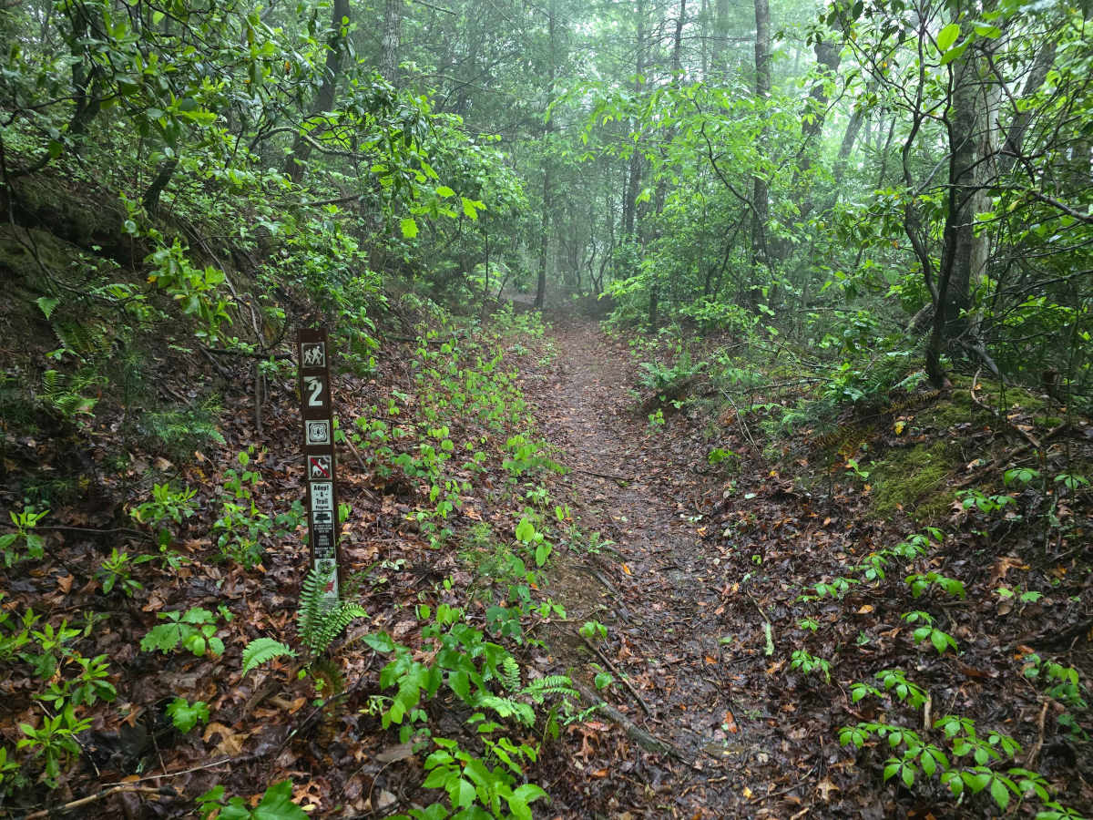 Shuler Creek - FS 50 photo 3