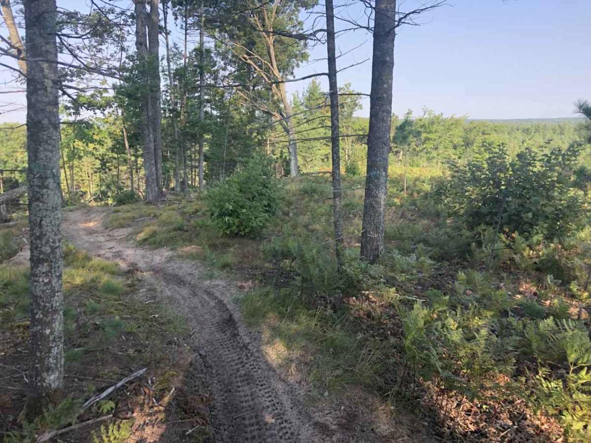 West Missaukee Trail Loop photo 6