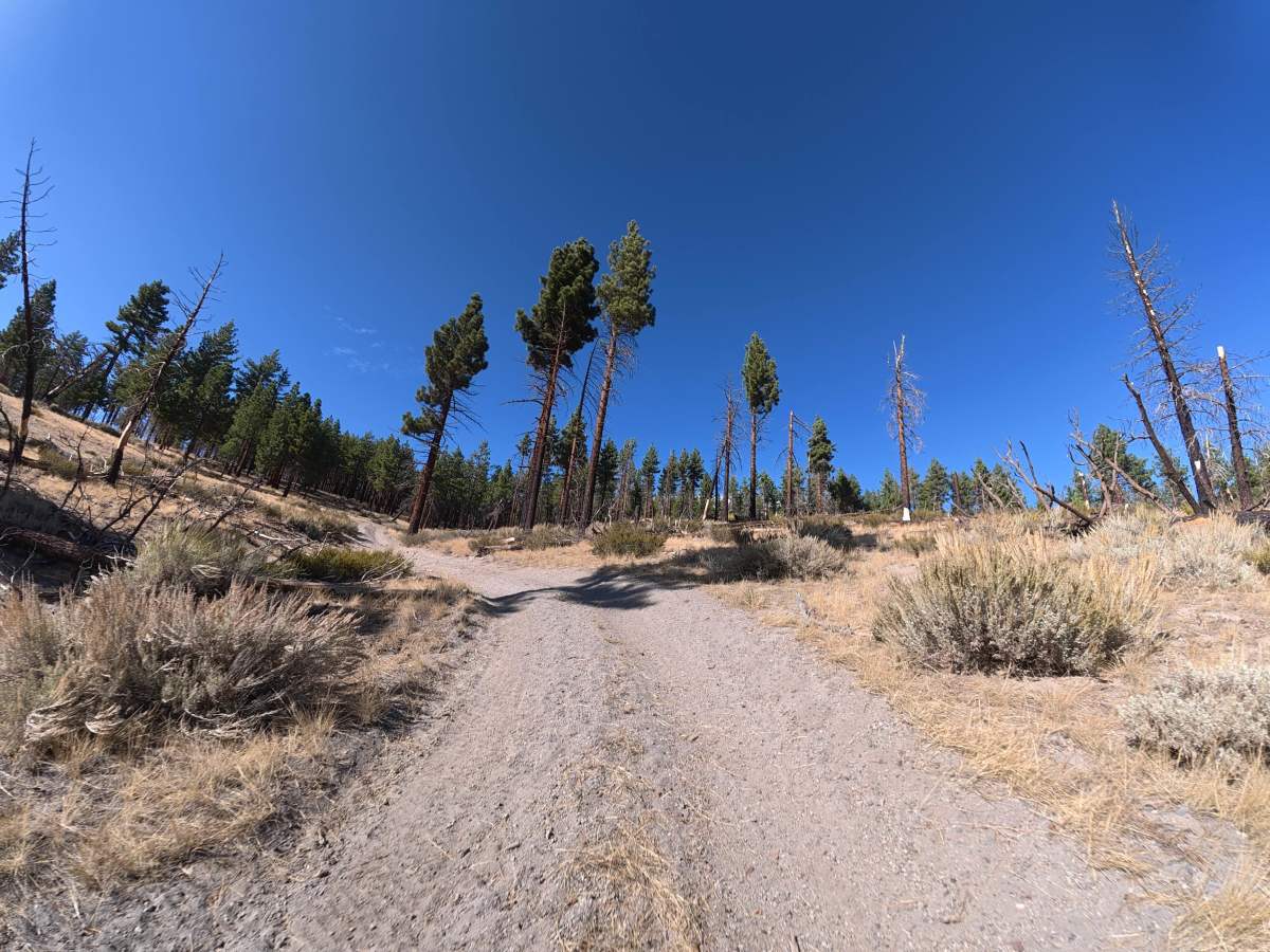 FS 2S147 trail photo