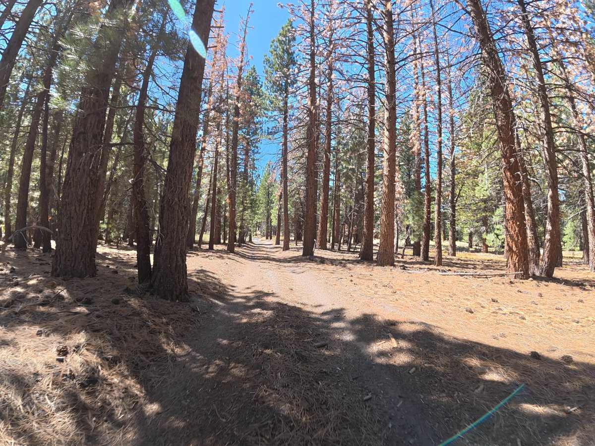 FS 2S29B trail photo