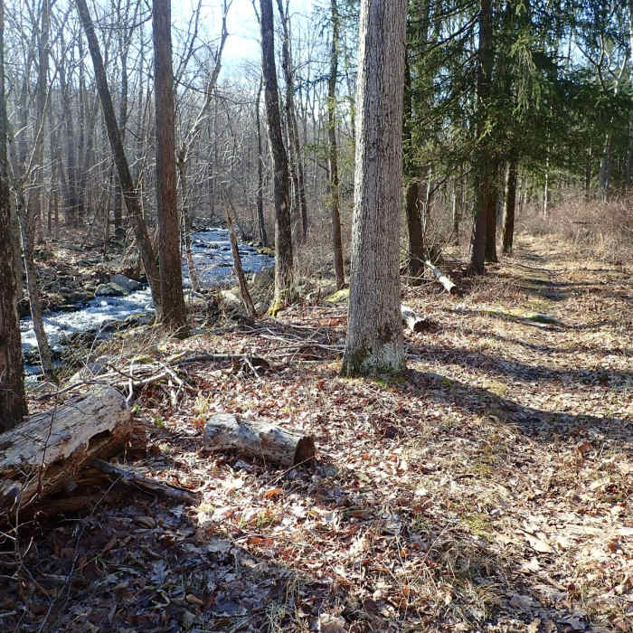 Near Black Mountain and Silvermine Lake loop
