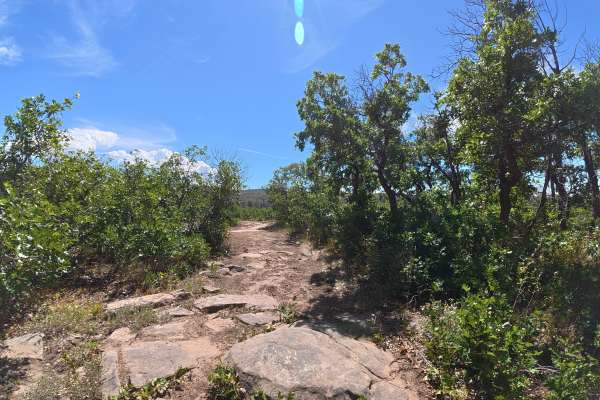 U C Creek Road
