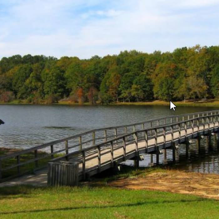Near Azalea Trail