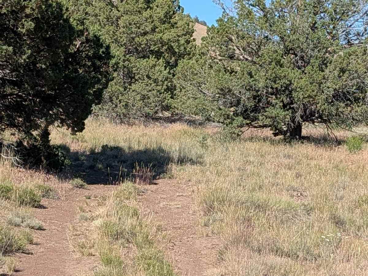 FS 47A14E trail photo