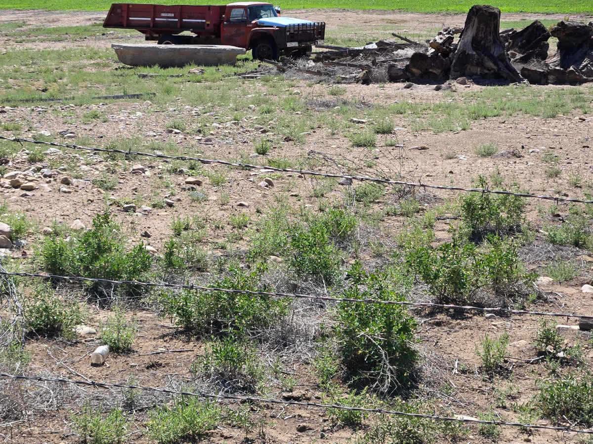 10 Mile Ranch Road  and South Thompsonville Road photo 6