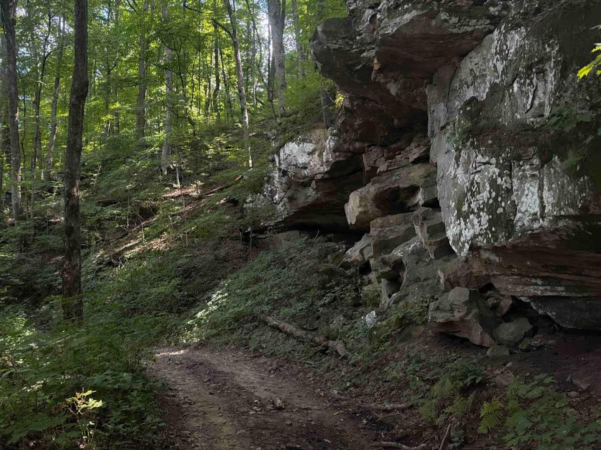 Round Mountain Trail photo 3