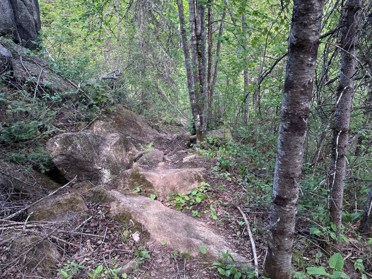 Valhalla Bound photo 3