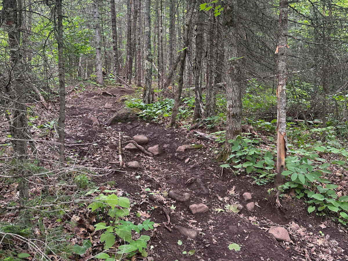 Alger Grade - Trail 2 photo 2