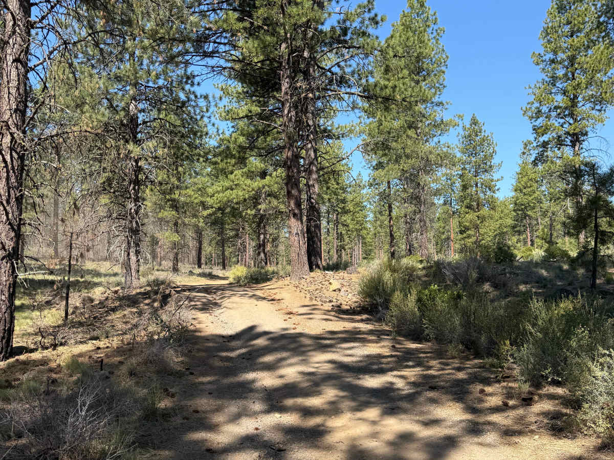 Big Burn Road photo 2