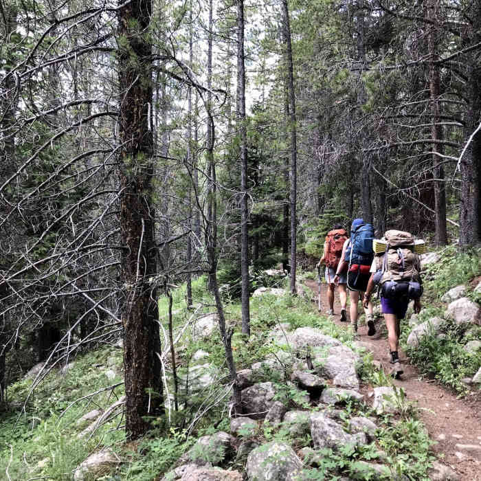 Heading up the West Branch Trail with trailside blueberries keeping the pace slow. Near Carey/Island Lakes Out-and-Back