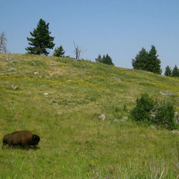 Near Spanish Creek and Jerome Rock Lakes Loop