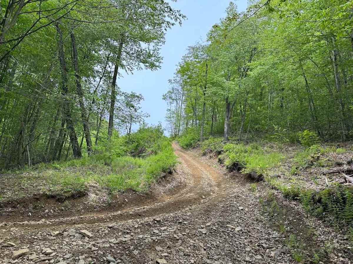 E Blue trail photo