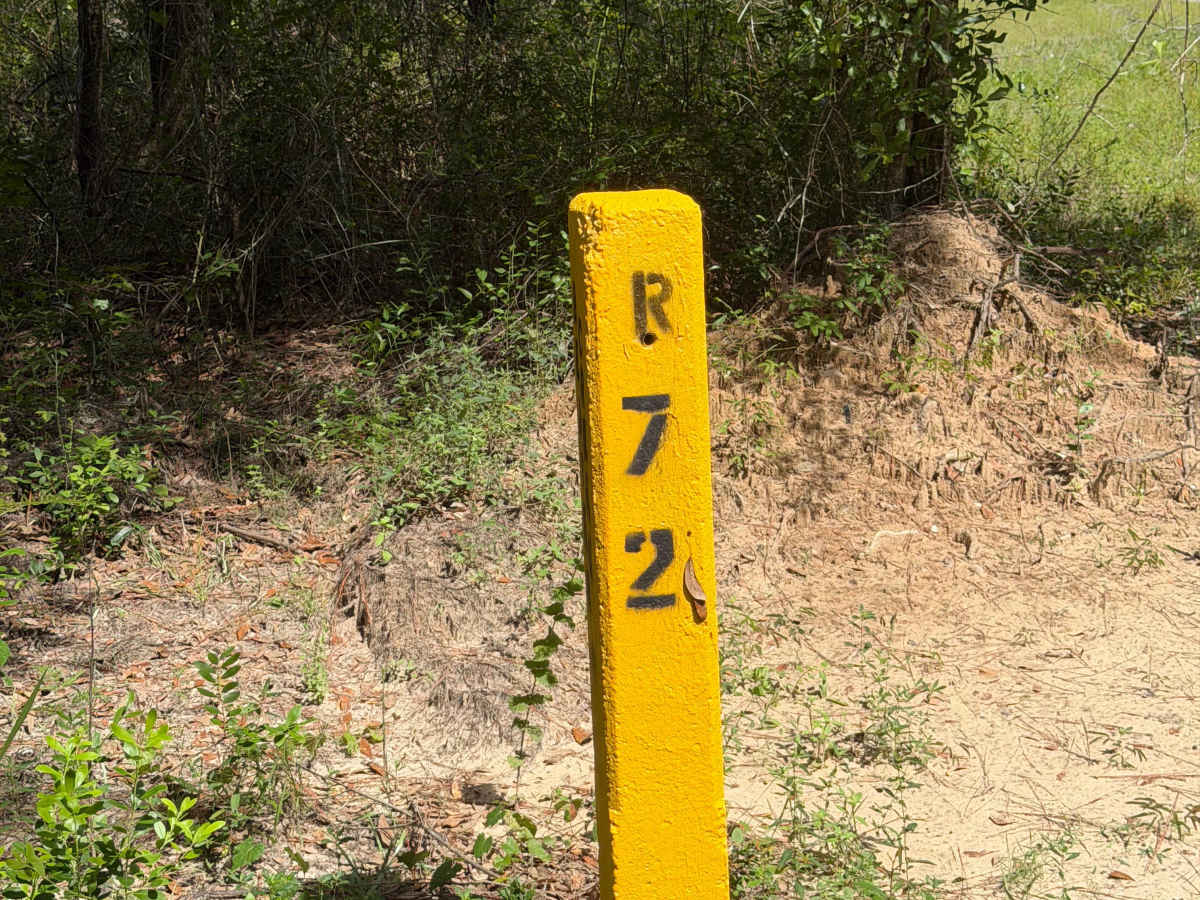 Blackwater River R72 photo 2