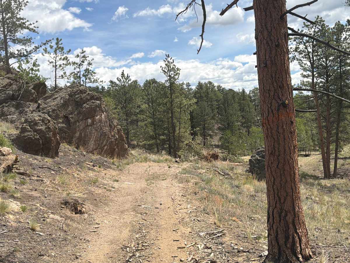 The Dip Road trail photo