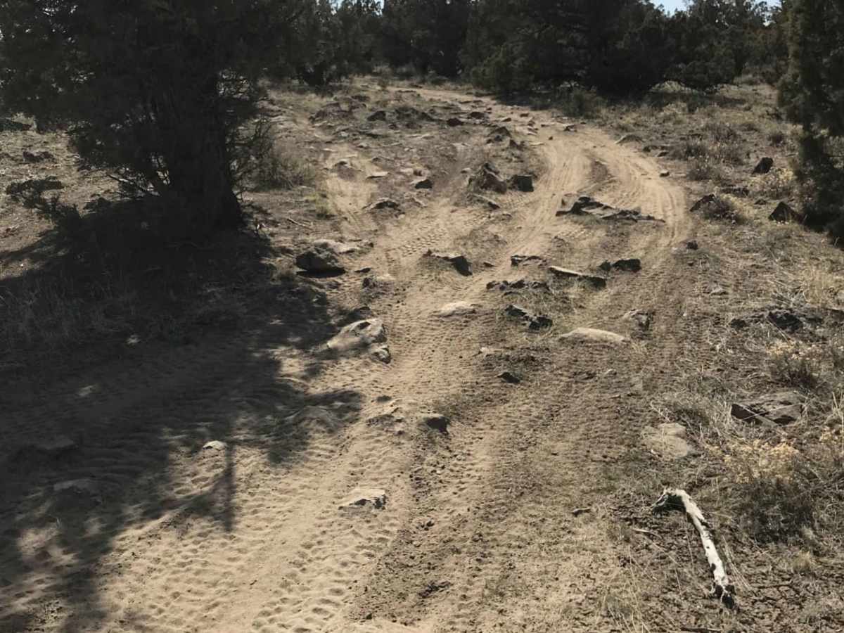 Millican Plateau Trail 84 photo 2