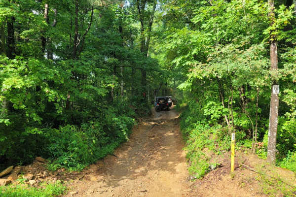 Trail 19 - Wolf Ridge