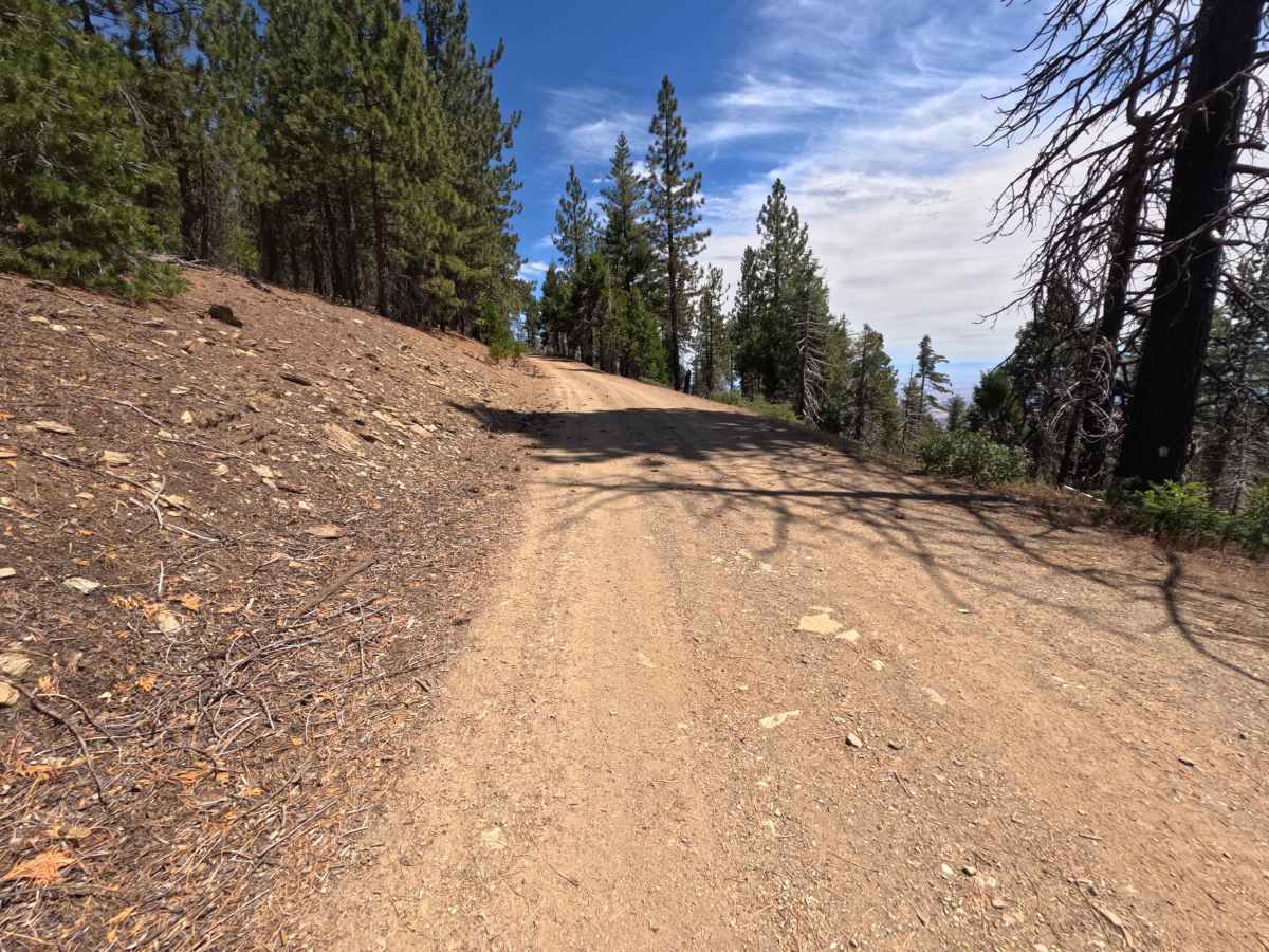 Postpile - FS 24N38 photo 5