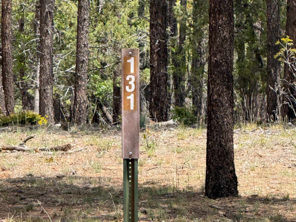 Bear Canyon - FS 131 photo 3