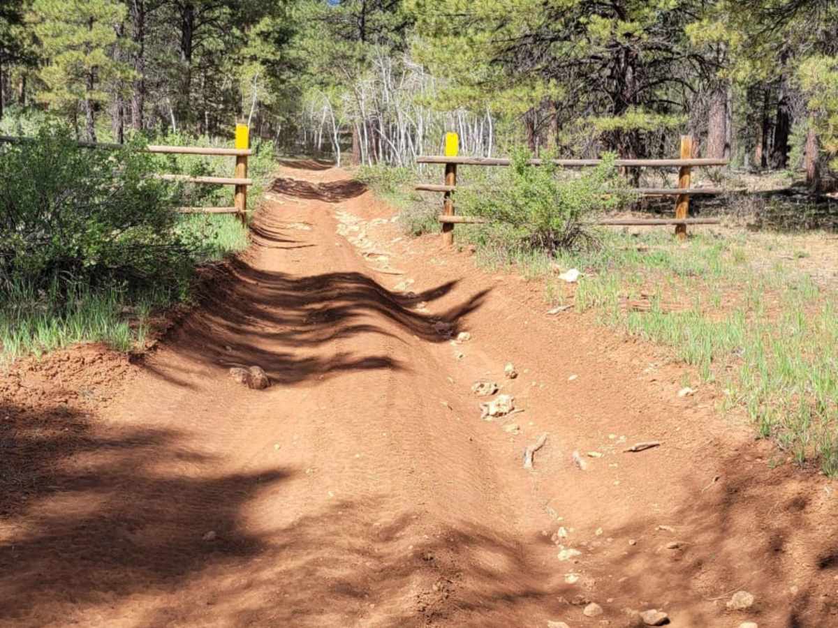Ponderosa Loop Mini photo 6