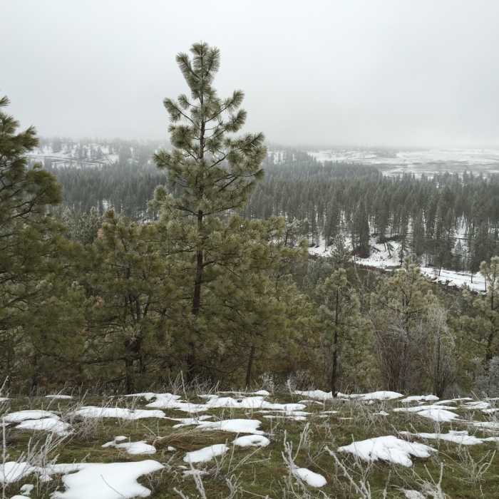 Near The Scenic Hills of Riverside