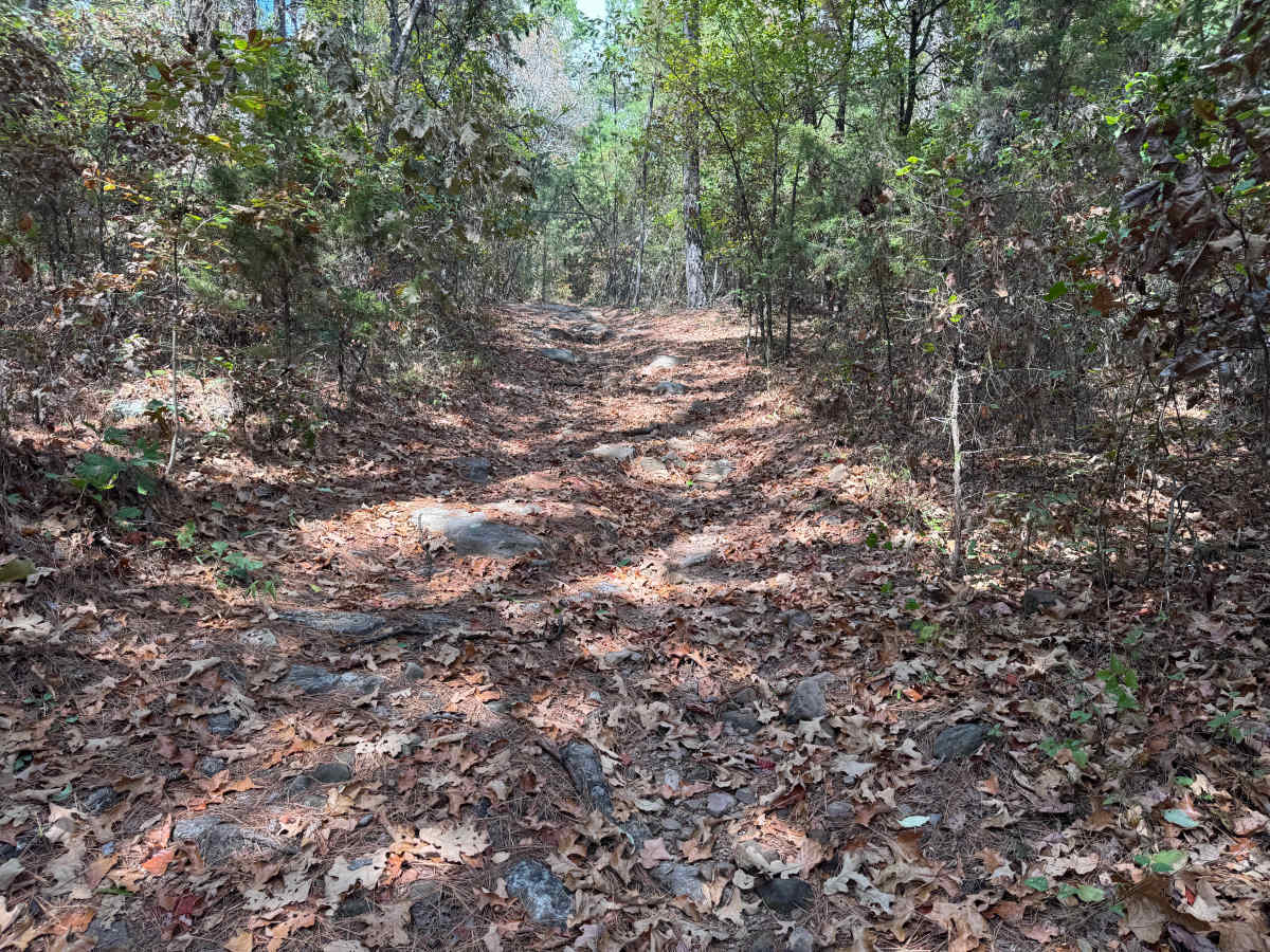 Pine Grove photo 5