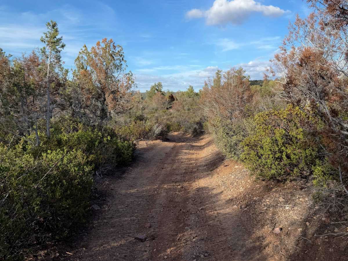 Adra Loop  photo 6