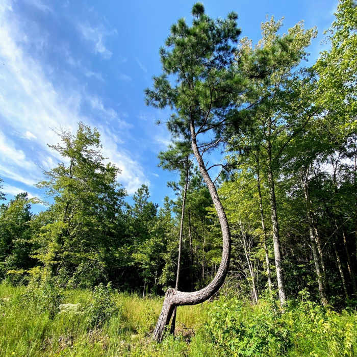 Near B Red Trail