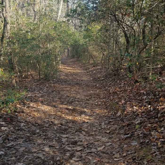 Raven Rock Loop Near Campbell Creek Loop Trail