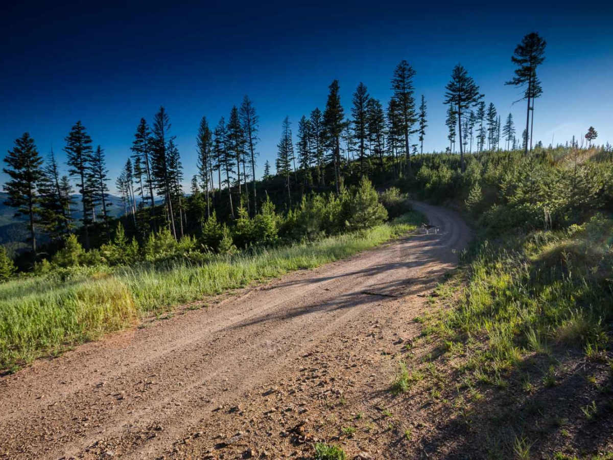 Wagon Mountain Road photo 6