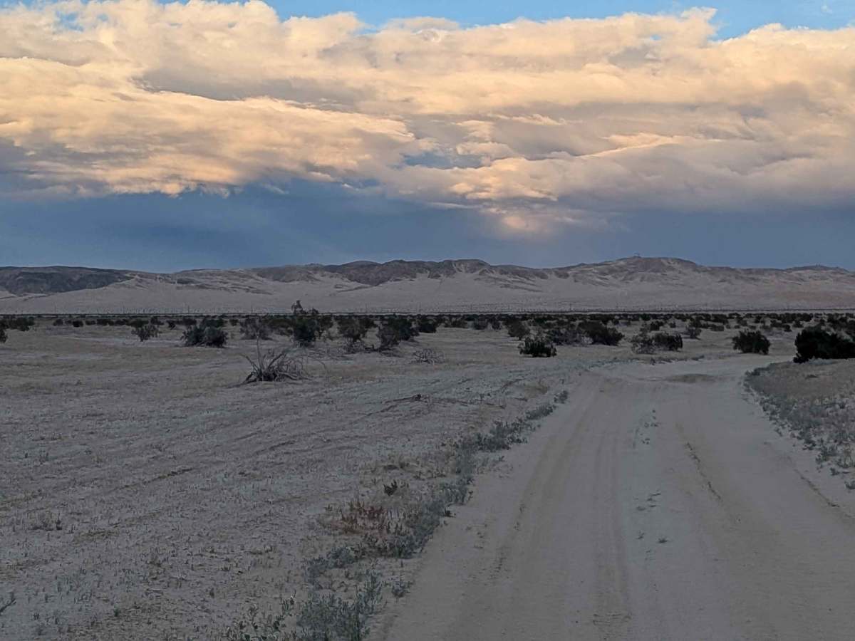 BLM 200 photo 5