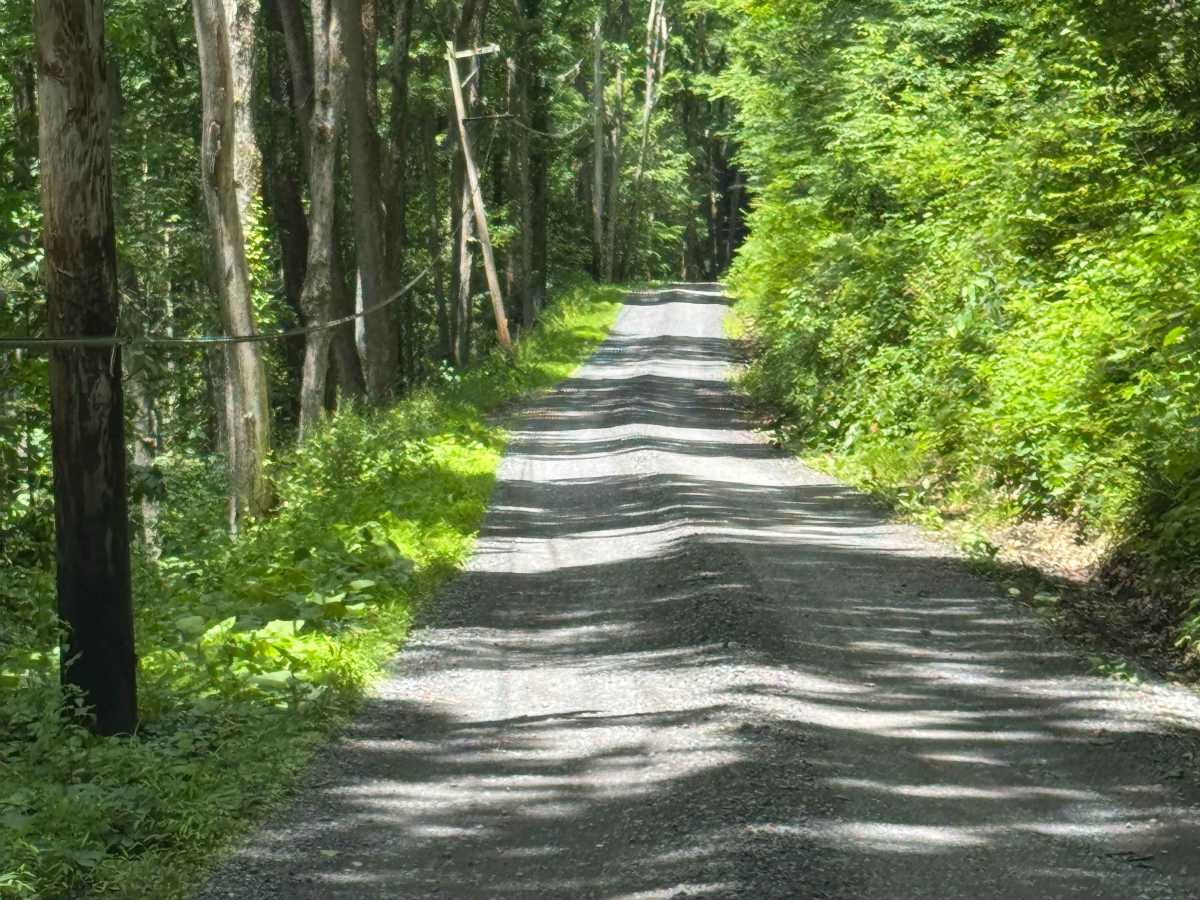 Bailey Run Road photo 6