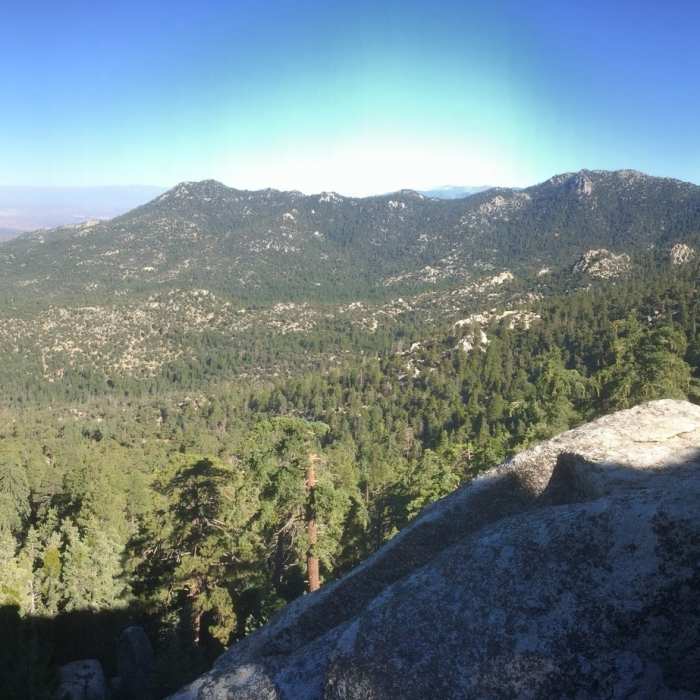 Near Marion Mountain Trail