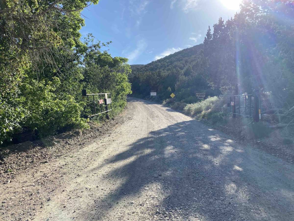 South Willow Canyon photo 4