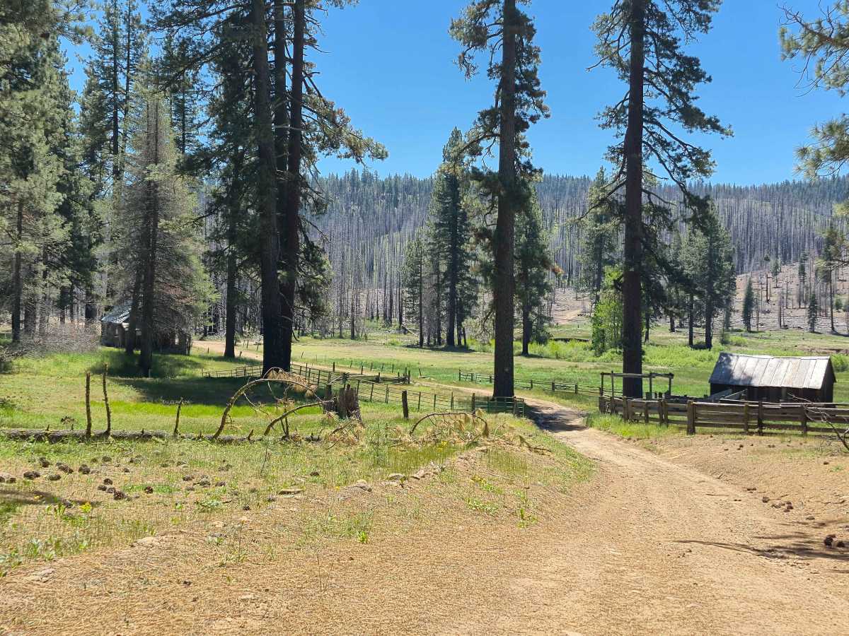 Alder Creek - FS 11N46 trail photo
