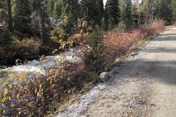 Lost Horse Creek Trail