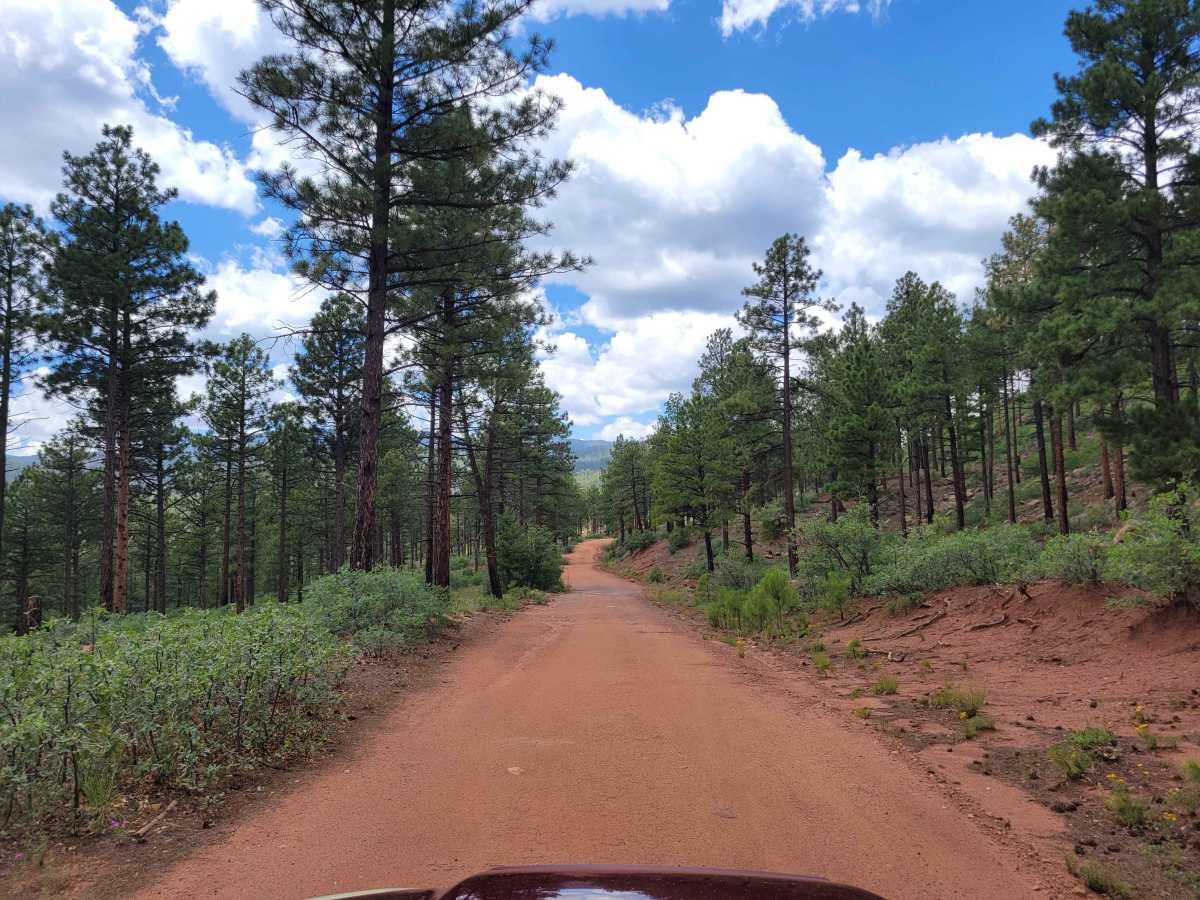 Glorieta Baldy photo 4