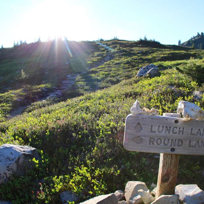 Near Lunch Lake Trail