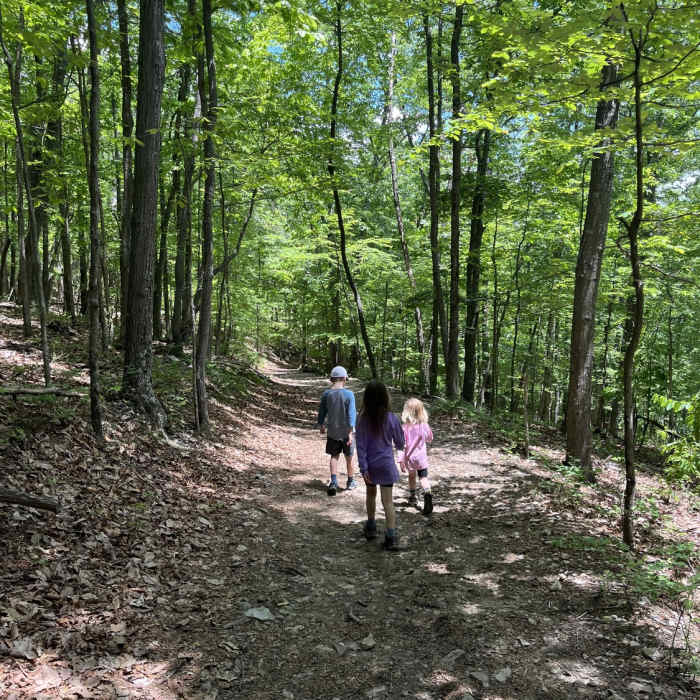 Near Mill Mountain Park Loop