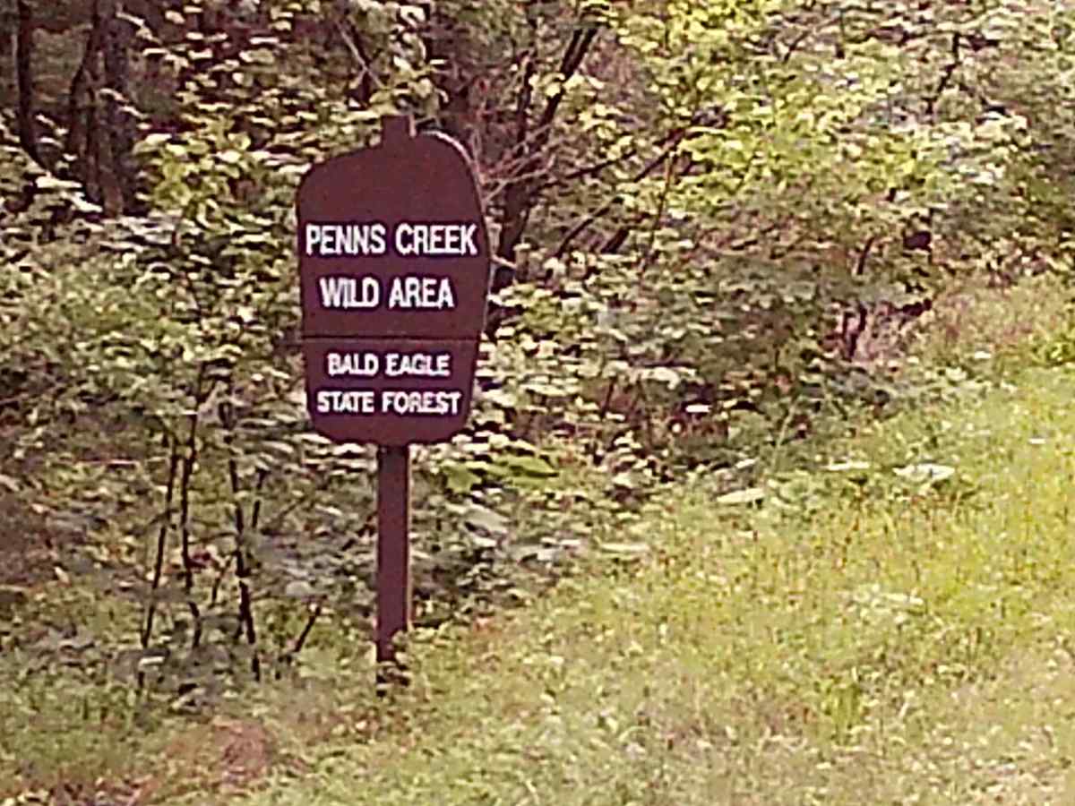 Cherry Run Road photo 2