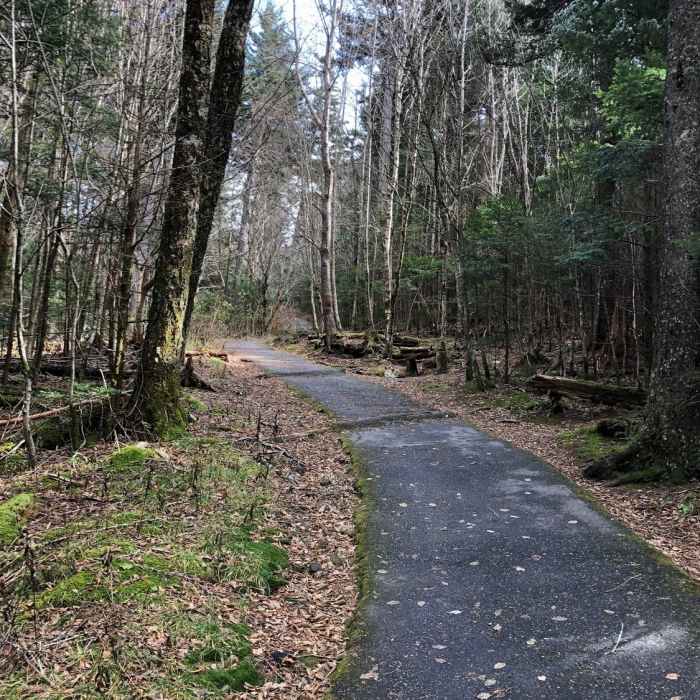 Near Devil's Courthouse