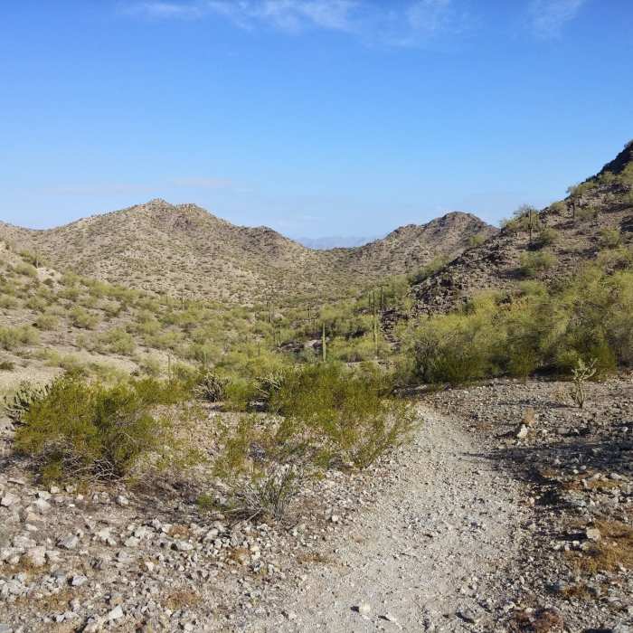 Near Toothaker